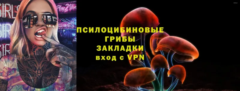 Псилоцибиновые грибы Psilocybine cubensis  продажа наркотиков  Рязань 